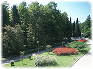 http://sakvoyage.perm.ru/userfiles/Image/17.jpg