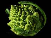 P:\250px-Fractal_Broccoli.jpg