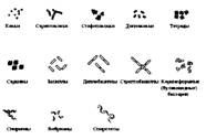 http://bio.fizteh.ru/student/files/biology/biolections/lection07/fig05.jpg