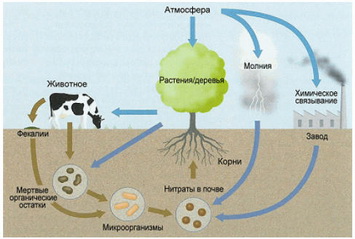http://www.mlhouse.ru/ARTICLES/ratnikov_3.jpg