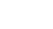 �������: ZnSe