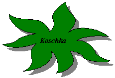 ���������������: Koschka