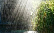 http://z-city.com.ua/images/pictures/authors/9048/17035/images-(page-picture-large).jpg