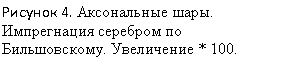 �������: