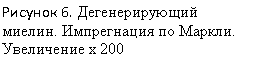 �������:
