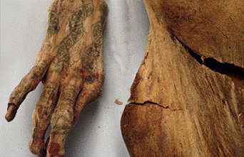 http://vistanews.ru/uploads/posts/2015-12/1450483396_tatuuuu.png
