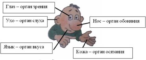 http://festival.1september.ru/articles/518855/img0.jpg