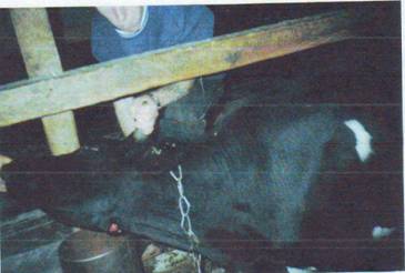 IMAGE0067.JPG