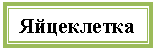 Подпись: Яйцеклетка