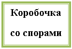Подпись: Коробочка
со спорами