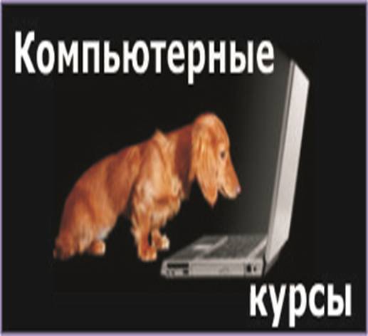 http://s48376.cdn3.setup.ru/u/68/1f38d44cddd51b8e81f3d090dd6934/-/%D0%9A%D0%BE%D0%BC%D0%BA%D1%83%D1%80.jpg