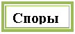 �������: �����