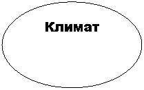 ����: ������