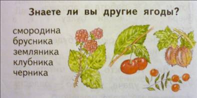 C:\Users\������ ���������\Desktop\����� ����� (2)\P1000322.JPG