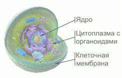 http://dp-adilet.kz/wp-content/img/1/e76de1e0_f60b_0130_8a1c_12313d0128c8.jpg