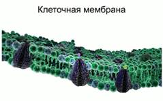 http://dp-adilet.kz/wp-content/img/1/e81e73e0_f60b_0130_8a1d_12313d0128c8.jpg