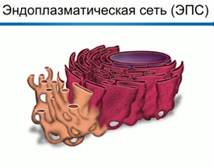 http://dp-adilet.kz/wp-content/img/1/e8c49010_f60b_0130_8a1e_12313d0128c8.jpg