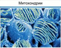 http://dp-adilet.kz/wp-content/img/1/ea5edd20_f60b_0130_8a20_12313d0128c8.jpg