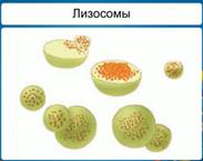 http://dp-adilet.kz/wp-content/img/1/ebb28530_f60b_0130_8a22_12313d0128c8.jpg