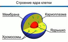 http://dp-adilet.kz/wp-content/img/1/ec65cbf0_f60b_0130_8a23_12313d0128c8.jpg