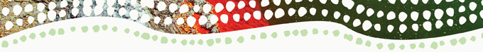 http://australiatravel.ru/var/custom/Image/top_banner_nzfj.jpg