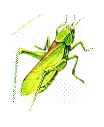 C:\Documents