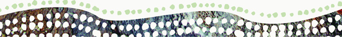 http://australiatravel.ru/var/custom/Image/bottom_banner_nzfj.jpg