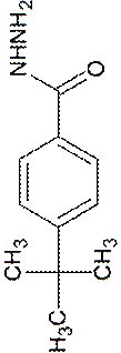 noname12