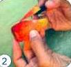 http://tamada70.ru/fotogr/recepti_carving/k050.jpg