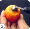 http://tamada70.ru/fotogr/recepti_carving/k074a.jpg