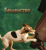 http://gnclicei.brest.by/Beshenstvo_2012-2016/beshenstvo%20(1).jpg