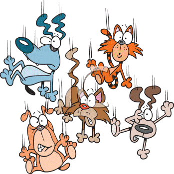 http://chestyle.com/pictures/lj/20100429_1_raining-cats-and-dogs.png