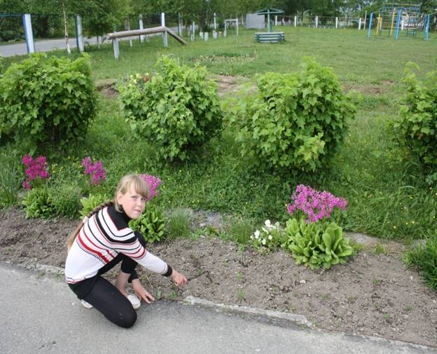 K:\пришкольный участок 2\IMG_1633.JPG