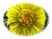 http://i.sakh.name/b/f/c/fceeb6d503f7345c5fadeaceff53ab58.jpg