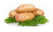 http://polzavred.ru/wp-content/uploads/ekzema-2.jpg
