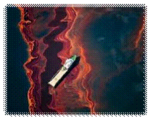 http://t2.gstatic.com/images?q=tbn:ANd9GcSlNWq-nj9EG84TtZdHi0RFsKp1LXDxOQZHrycpExBdnkJm3SEVLQ