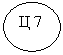 Овал: Ц 7