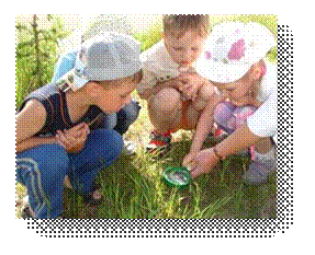 C:\Users\Пользователь\Desktop\ЭКОЛОГИЧЕСКИЕ ФОТО\3918.jpg