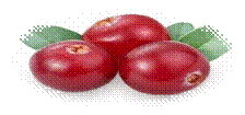http://go4.imgsmail.ru/imgpreview?key=9db12876f776615&mb=imgdb_preview_973
