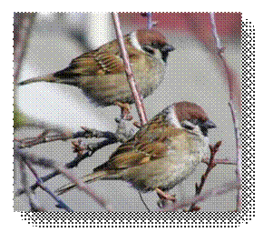 https://cs3.livemaster.ru/zhurnalfoto/7/a/b/130321172009.jpg