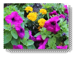 C:\Users\Пользователь\Desktop\ЭКОЛОГИЧЕСКИЕ ФОТО\IMG_3021.JPG