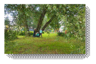 C:\Users\Smart Touch\Documents\Bluetooth Folder\20170724_163614.jpg