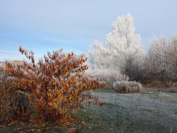 http://cs629209.vk.me/v629209436/21ba6/5xcAltDGoG4.jpg