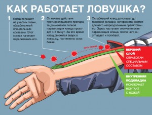 1369204217_shema_b2c.jpg