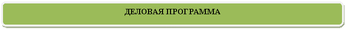 Скругленный прямоугольник: ДЕЛОВАЯ ПРОГРАММА