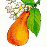 http://www.eti-deti.ru/img/test_vatslak_32.jpg