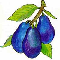 http://www.eti-deti.ru/img/test_vatslak_34.jpg