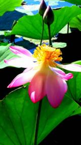 20140824_100210.jpg