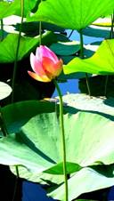 20140824_100230.jpg