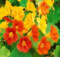 http://img-fotki.yandex.ru/get/7/vibpxhgglzd.920/0_216c6_b30476aa_XL